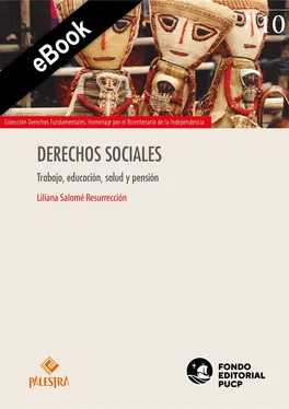 Liliana Salomé Resurrección Derechos sociales обложка книги