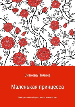 Полина Ситнова Маленькая принцесса обложка книги