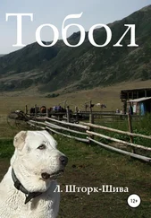Людмила Шторк – Шива - Тобол