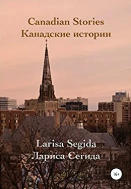 Лариса Сегида Канадские истории обложка книги