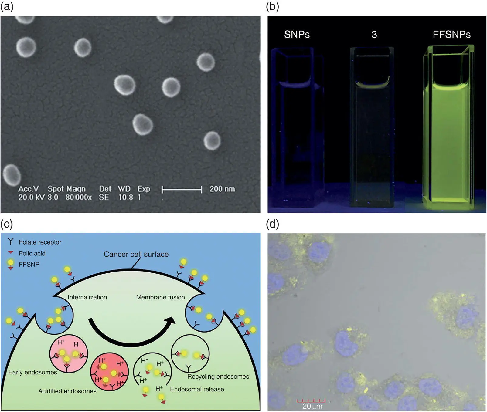 Figure 29 a Scanning electron microscopy SEM images of monodispersed - фото 22