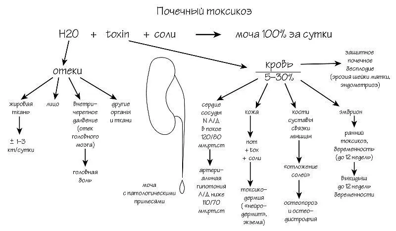 Илл 1 Почечный токсикоз Именно за сутки И вот именно эта формула очень часто - фото 1