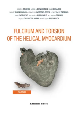 Jorge C. Trainini Fulcrum and Torsion of the Helical Myocardium обложка книги