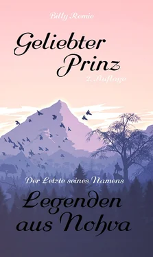 Billy Remie Geliebter Prinz обложка книги