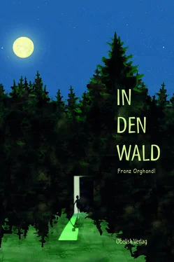 Franz Orghandl In den Wald обложка книги