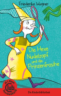 Friederike Wagner Die Hexe Nudelzopf und die Prinzenfrösche обложка книги