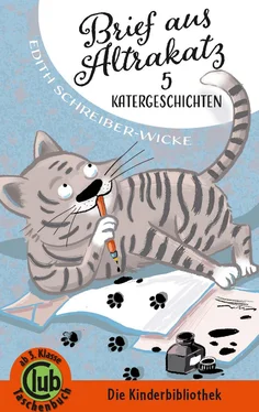 Edith Schreiber-Wicke Brief aus Altrakatz обложка книги