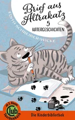 Edith Schreiber-Wicke - Brief aus Altrakatz