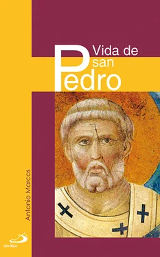 Antonio Marcos García Vida de san Pedro обложка книги