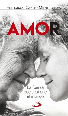 Francisco Javier Castro Miramontes Amor обложка книги