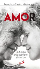 Francisco Javier Castro Miramontes - Amor