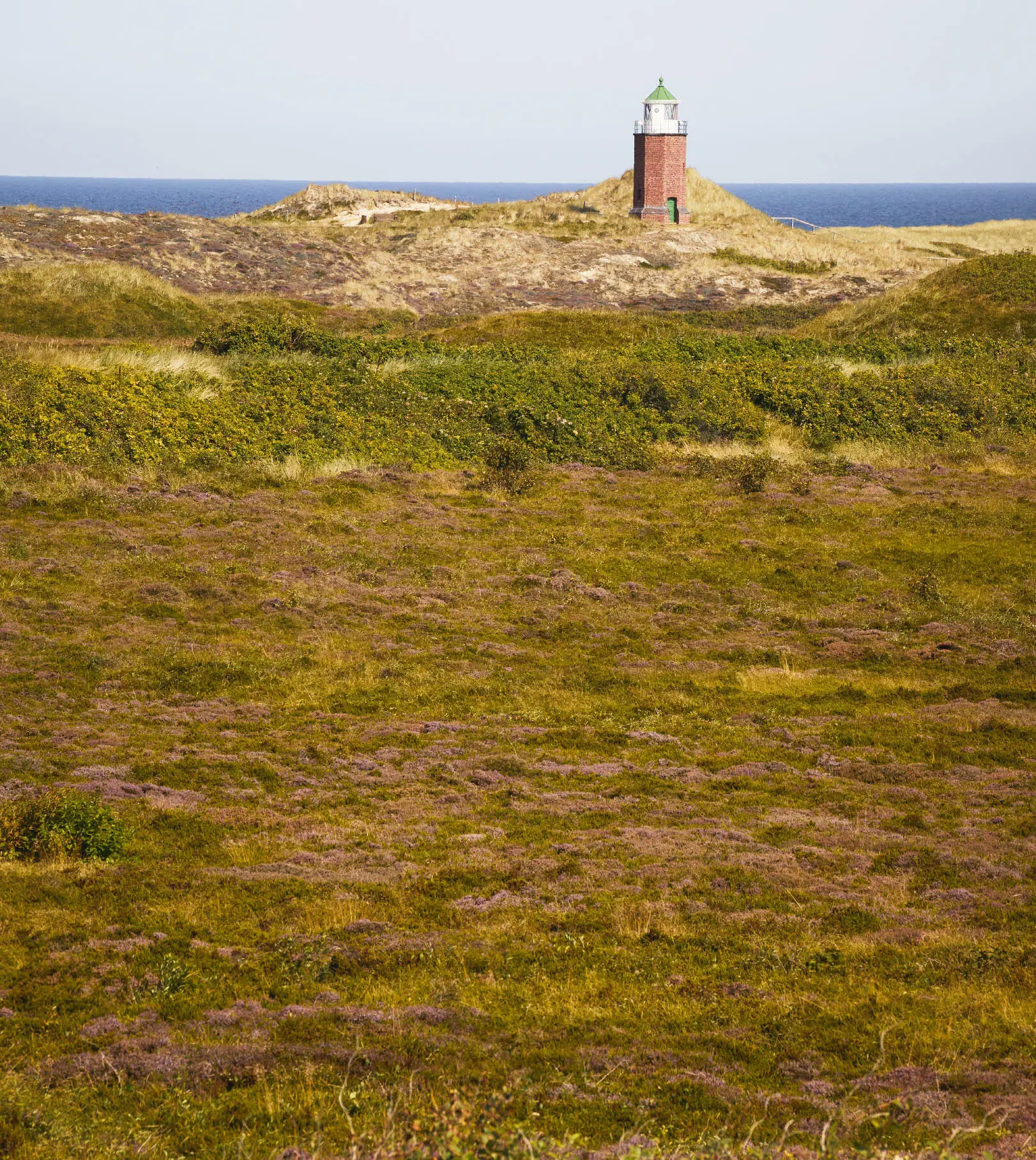 AUS LIEBE ZU SYLT Ich widme dieses Buch meiner im August 2021 verstorbenen - фото 7