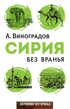 Аркадий Виноградов Сирия без вранья обложка книги