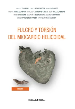 Jorge C. Trainini Fulcro y torsión del miocardio helicoidal обложка книги