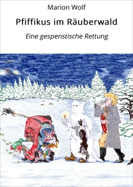 Marion Wolf Pfiffikus im Räuberwald обложка книги