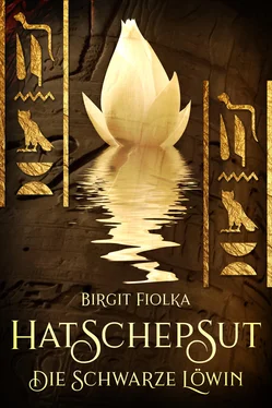 Birgit Fiolka Hatschepsut. Die schwarze Löwin обложка книги