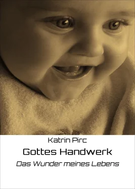 Katrin Pirc Gottes Handwerk обложка книги