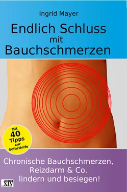 Ingrid Mayer Endlich Schluss mit Bauchschmerzen обложка книги