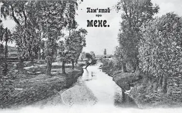 Памятай про мене Фотооткрытка 1910х годов На старой открытке изображены - фото 17