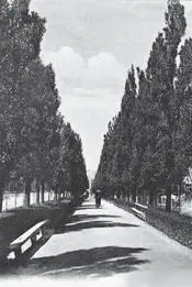 Бибиковский бульвар Фотооткрытка 1910х годов Здание 55б по другую - фото 26
