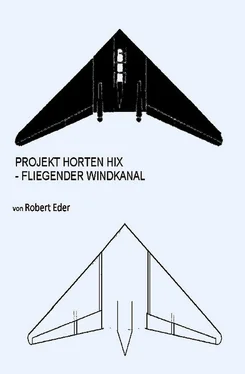 Robert Eder PROJEKT HORTEN HIX обложка книги