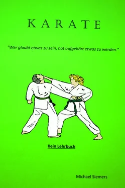 Michael Siemers karate обложка книги