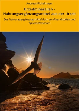 Andreas Pichelmayer Urzeitmineralien - Nahrungsergänzungsmittel aus der Urzeit обложка книги