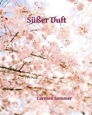 Carmen Sommer Süßer Duft обложка книги