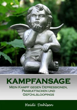 Heidi Dahlsen Kampfansage обложка книги