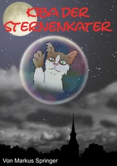 Markus Springer - Kiba der Sternenkater