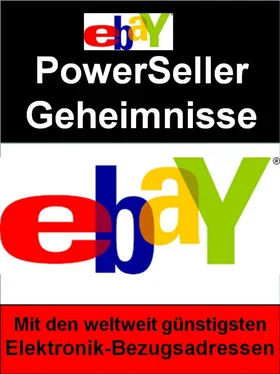 Ina Schmid Ebay PowerSeller Geheimnisse обложка книги