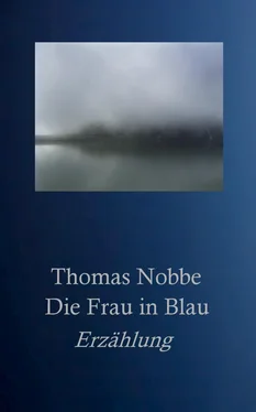 Thomas Nobbe Die Frau in Blau обложка книги