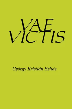 György Kristián Szitás Vae Victis обложка книги