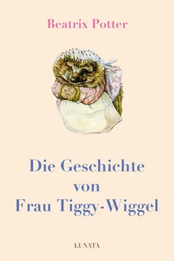 Beatrix Potter Die Geschichte von Frau Tiggy-Wiggel обложка книги