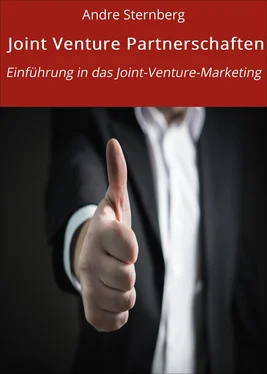 André Sternberg Joint Venture Partnerschaften обложка книги