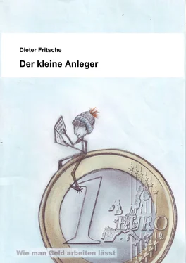 Dieter Fritsche Der kleine Anleger обложка книги