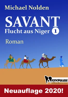 Michael Nolden SAVANT - Flucht aus Niger - обложка книги