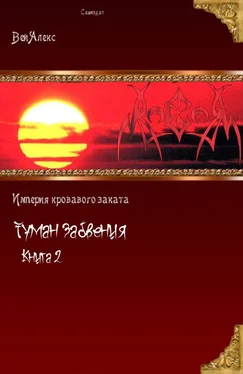 Алекс Вэй Туман забвения. Книга вторая обложка книги