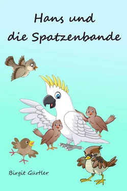 Birgit Gürtler Hans und die Spatzenbande обложка книги