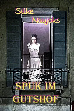 Silke Naujoks Spuk im Gutshof обложка книги