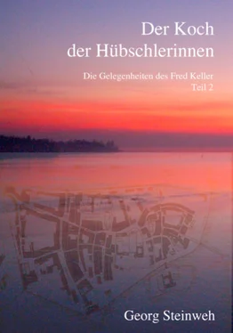 Georg Steinweh Der Koch der Hübschlerinnen обложка книги