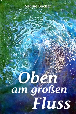 Sabine Bacher Oben am großen Fluss обложка книги