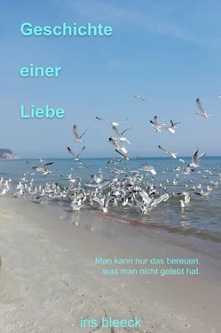 Iris Bleeck GESCHICHTE EINER LIEBE обложка книги