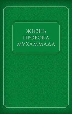 Коллектив авторов Жизнь Пророка Мухаммада обложка книги