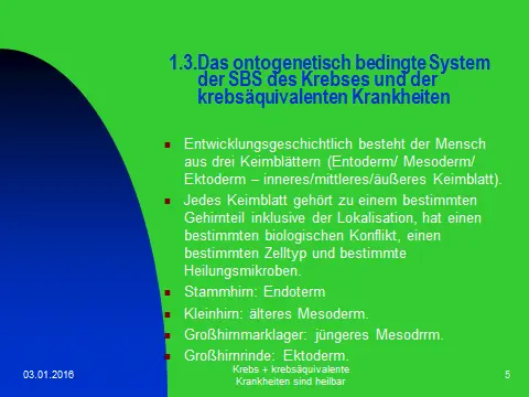 Die Therapie nach den 5 biologischen Naturgesetzen 1 Kenntnis der - фото 6