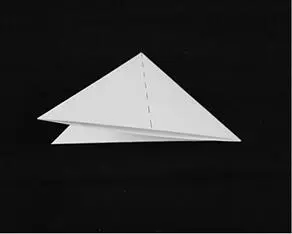 4 Schritt Öffne die umgeklappte Seite und falte sie flach dass ein Quadrat - фото 8