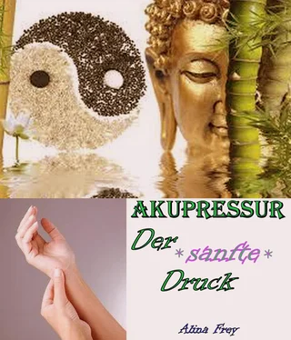 Alina Frey Akupressur - der sanfte Druck обложка книги