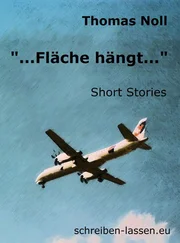 Thomas Noll - ...Fläche hängt...
