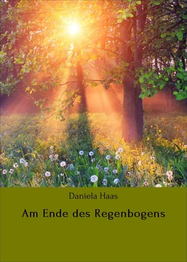 Daniela Haas Am Ende des Regenbogens обложка книги