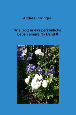 Andrea Pirringer Wie Gott in das persönliche Leben eingreift - Band 8 обложка книги